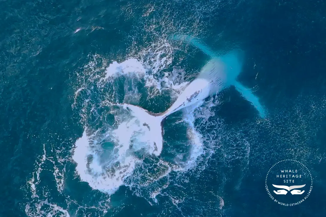 Luxury Yacht Experience